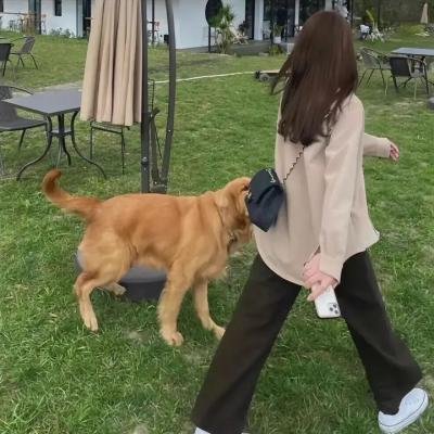 法米拉