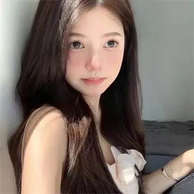 沙鸥
